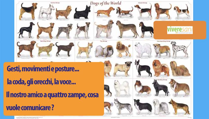 Imparare il linguaggio degli animali Imparare il linguaggio degli animali
